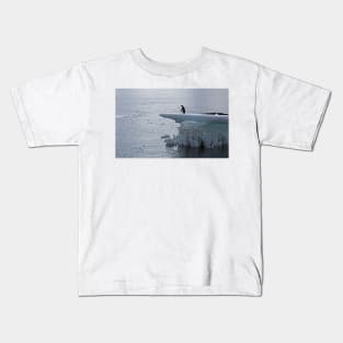 Adelie penguin at Brown Bluff Kids T-Shirt